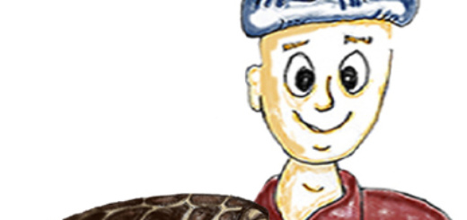 KIDS La tortuga babaua