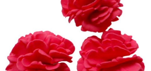 kids_0316_fondant_clavells