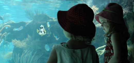 KIDS-75-ARTICLE-VACANCES