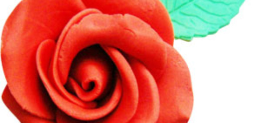 kids_0414_fondant_rosa