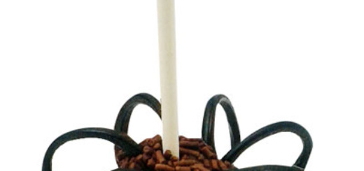 kids_1015_fondant_aranya