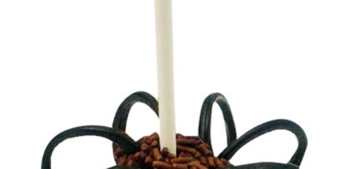 kids_1015_fondant_aranya