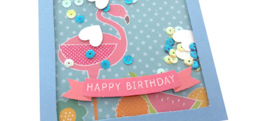 KIDS-felicitacio-estiuenca