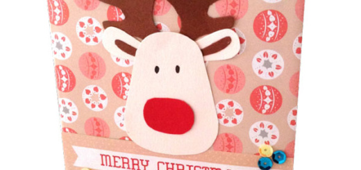 KIDS-targeta-nadalenca-doble